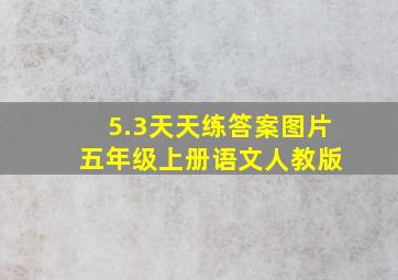 5.3天天练答案图片 五年级上册语文人教版